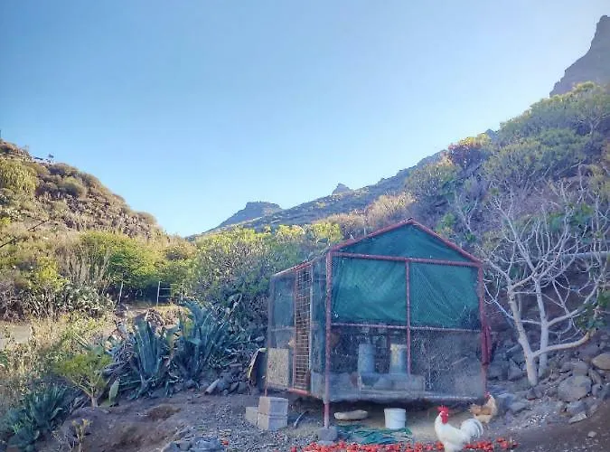 Casas Blancas - 2 Landsted